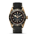 Black Bay Bronze