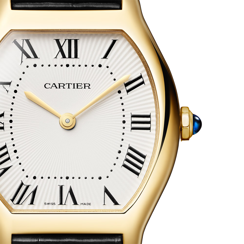 Tortue Watch