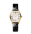 Tortue Watch