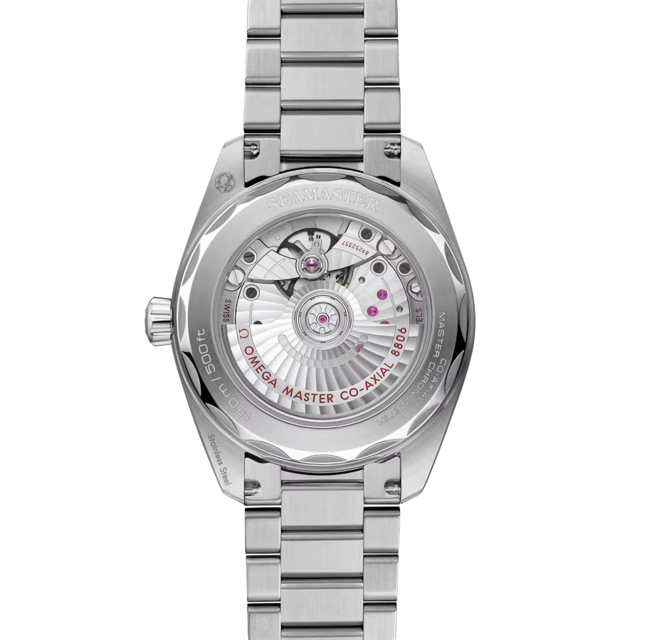 OMG Seamaster Railmaster, 38mm with Gray Dial