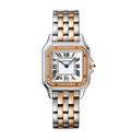 Panthère de CRT Watch