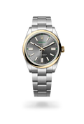 RLX Oyster Perpetual 41