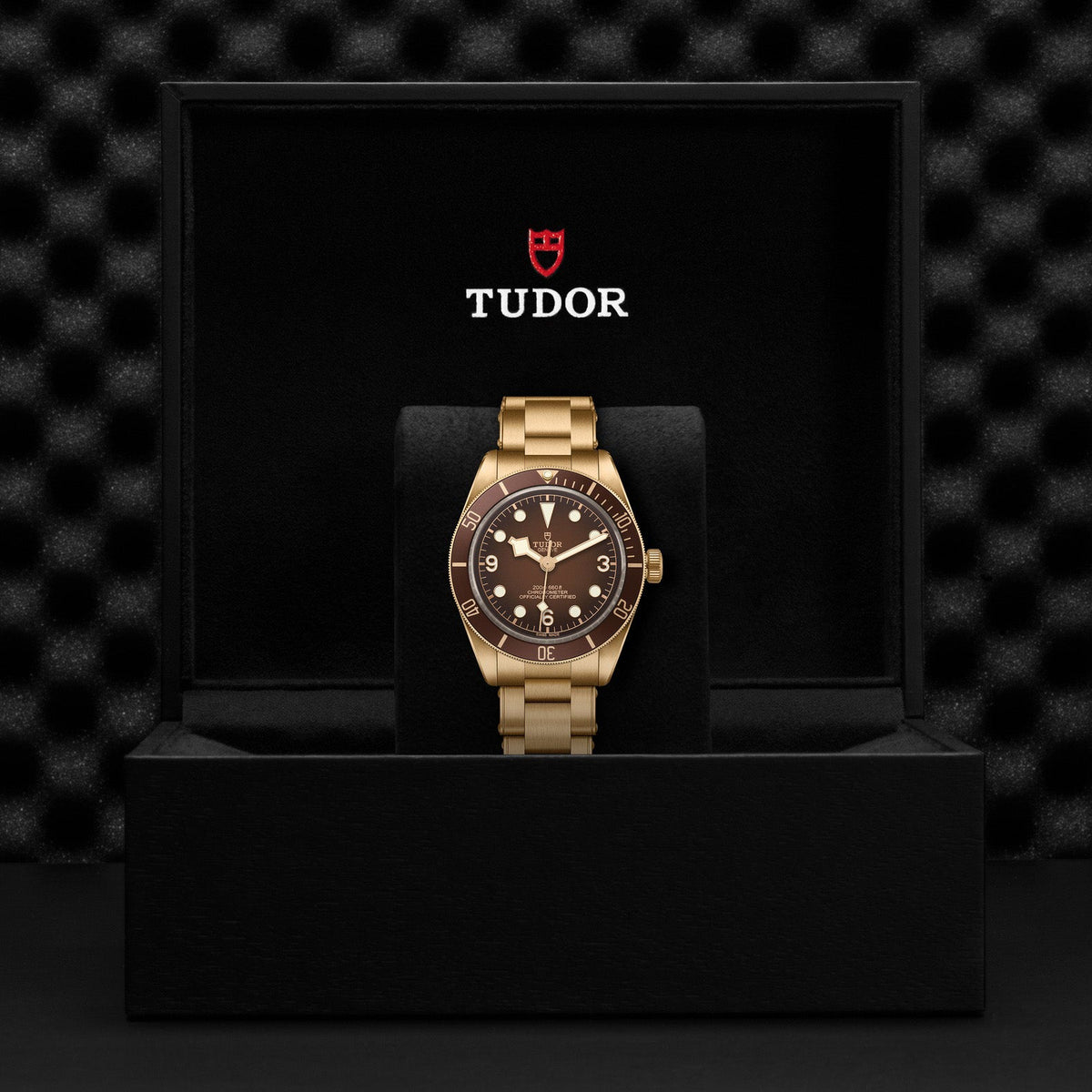 Black Bay 58 Bronze - Boutique Edition